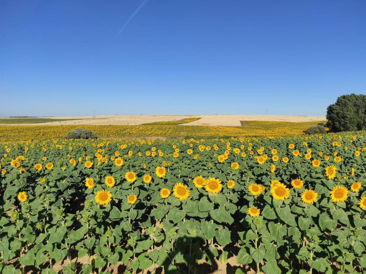 Vinarius, Posada Rural Castellanos de Villiquera エクステリア 写真