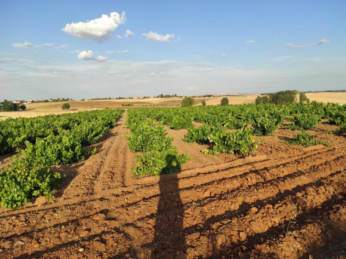 Vinarius, Posada Rural Castellanos de Villiquera エクステリア 写真