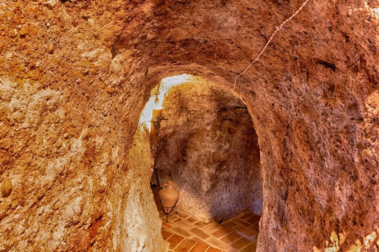 Vinarius, Posada Rural Castellanos de Villiquera エクステリア 写真