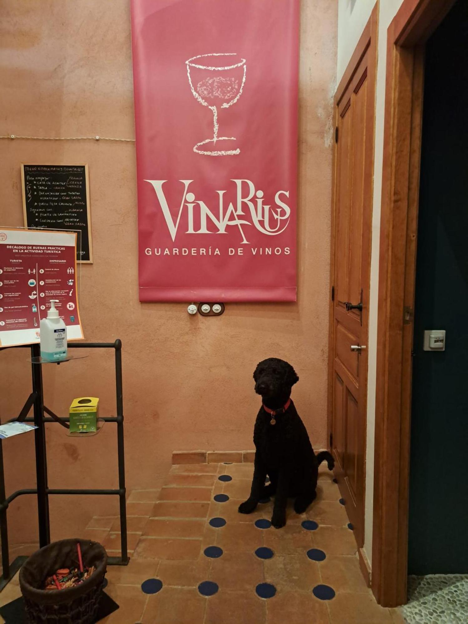 Vinarius, Posada Rural Castellanos de Villiquera エクステリア 写真